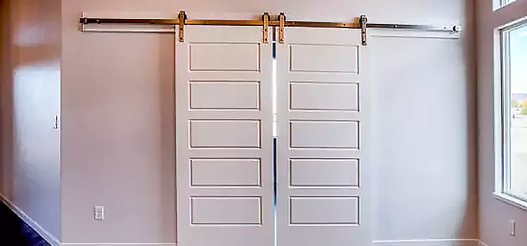 Glass Barn Door with Installation Hardware Kit Citrus Heights